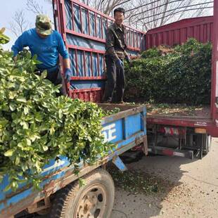 �������S��ͥԺ���͘�С�~�S�������ؾG����ľ���������h��ֲ��