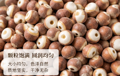Dried Gorgon Fruit Qian Shi Euryale Ferox Seeds for Soup Tea and Congee 1000g Sulfur-Free Guangdong key features