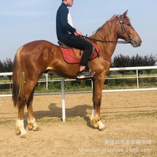 �������R �����R�x �ɹ��R �����R�x ��Ѫ�R �^�p�T�����R