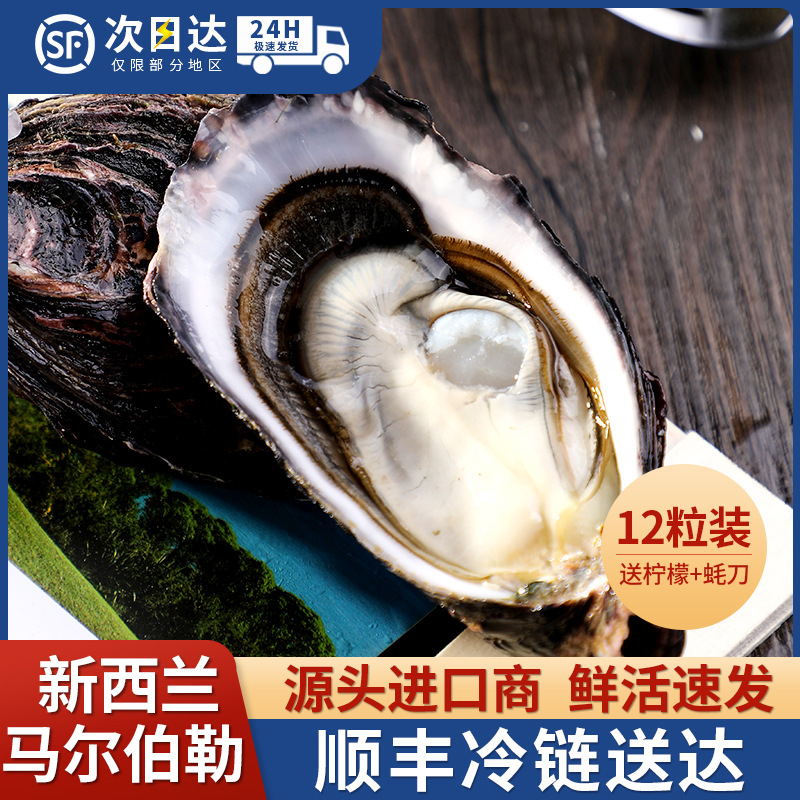 12粒装各国进口生蚝刺身级鲜活家庭聚餐聚会海鲜顺丰冷链一件代发
