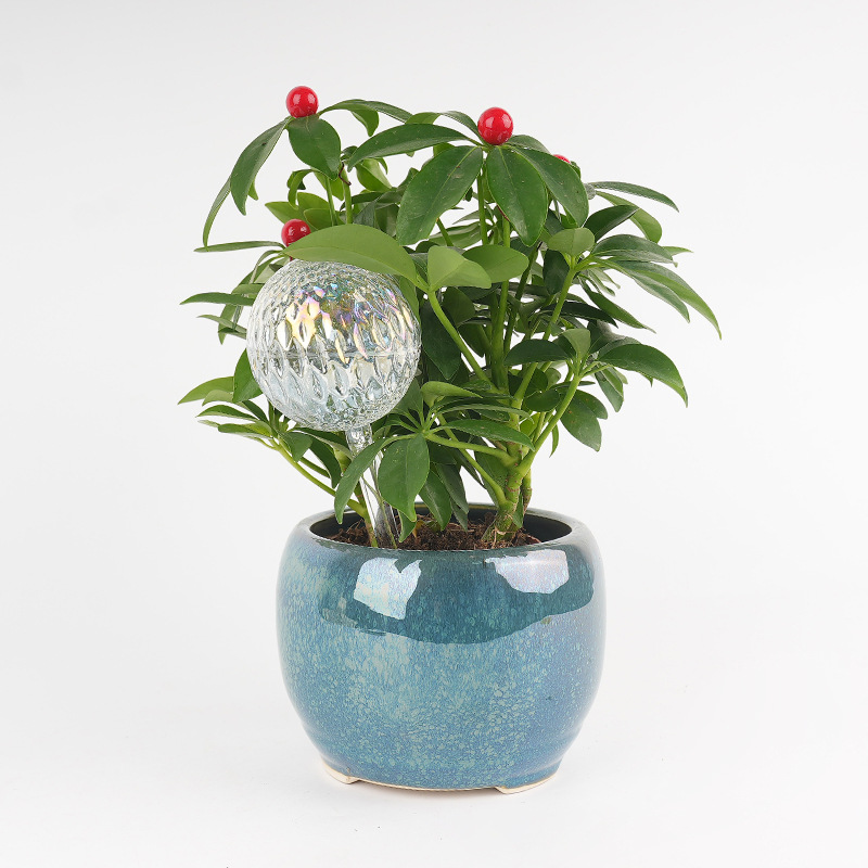 Transfronterizo al por mayor bola serie de riego de flores de vidrio automático goteo maceta ornamental herramienta de jardinería image 6