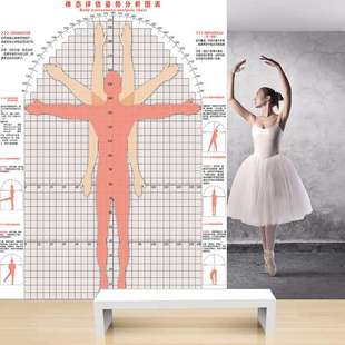 Posture Assessment Form System Yoga Fitness Personal Training Physical Assessment Form Posture Posture Test Chart Body Type Assessment Chart Wallpaper