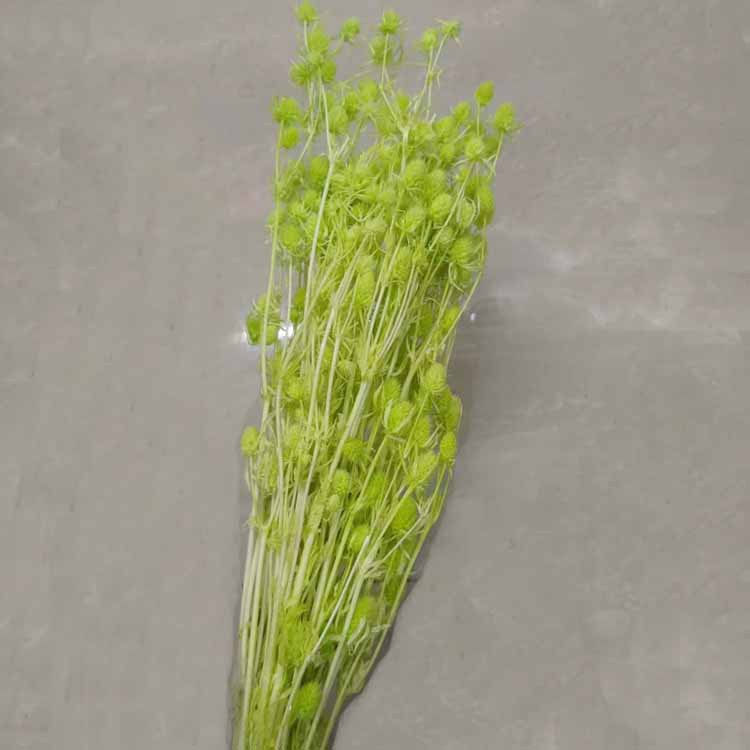 에메랄드 그린 [약 100]