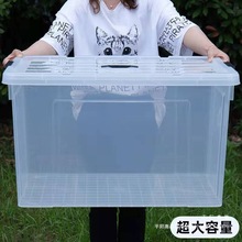 ¿͸D䎧wLռ{B~ӿ͏d