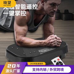 跨境甩脂机懒人抖抖机家用塑身机塑形纤体震动机燃脂运动健身器材