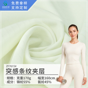 170g�\�Ӄ�����ߏ��A��ᘿ��� �������]�R�����\�]�٤������