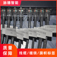 ИIþ|˺SD202W͸ߵ͜ͻW܄ճ˺