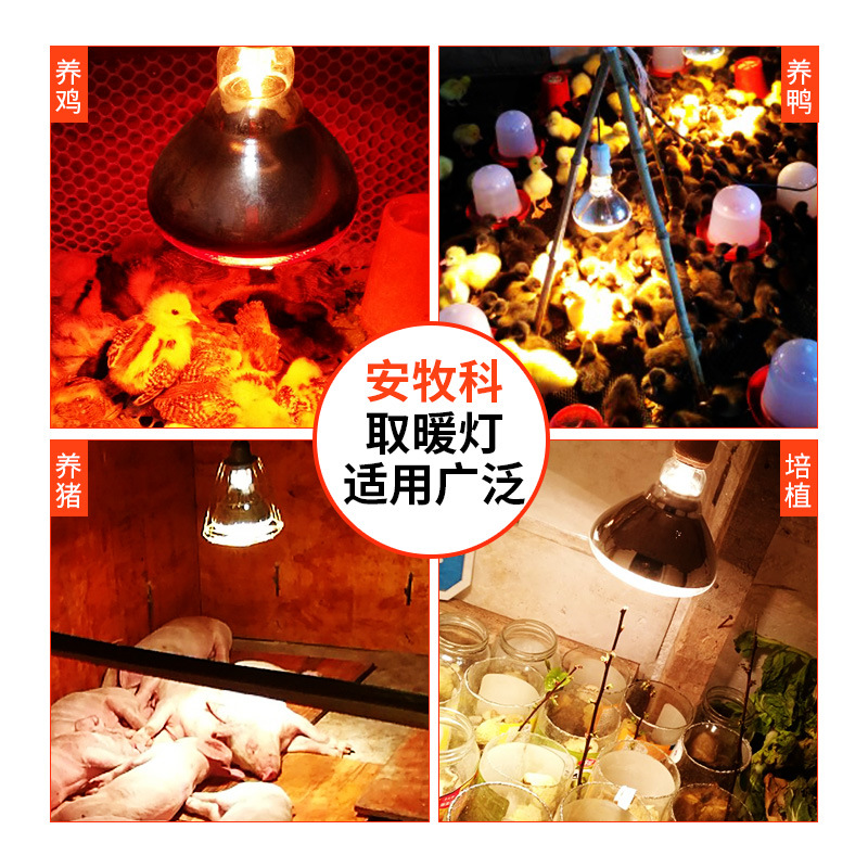 Lámpara de preservación del calor del cerdo lámpara de calefacción especial para la cría de lechones de pollo cría de animales calefacción lámpara para hornear calefacción bombilla caliente