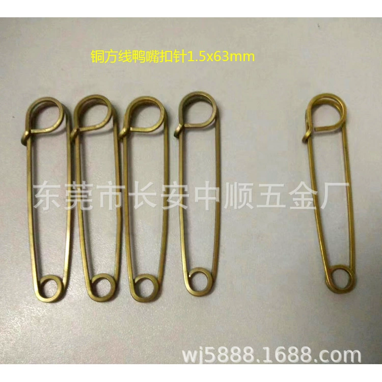 Pin, brooch