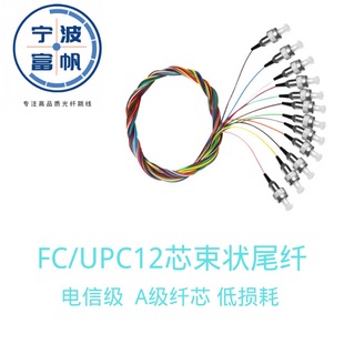 12-Core Fc Ribbon Pigtail Telecom-Grade 12-Core Single-Head Single-Mode Fc Round-Head 1.5m Fiber Optic