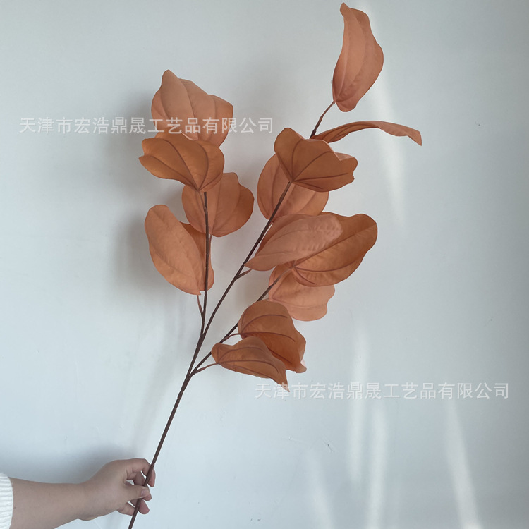 微信图片_202205021521409_副本