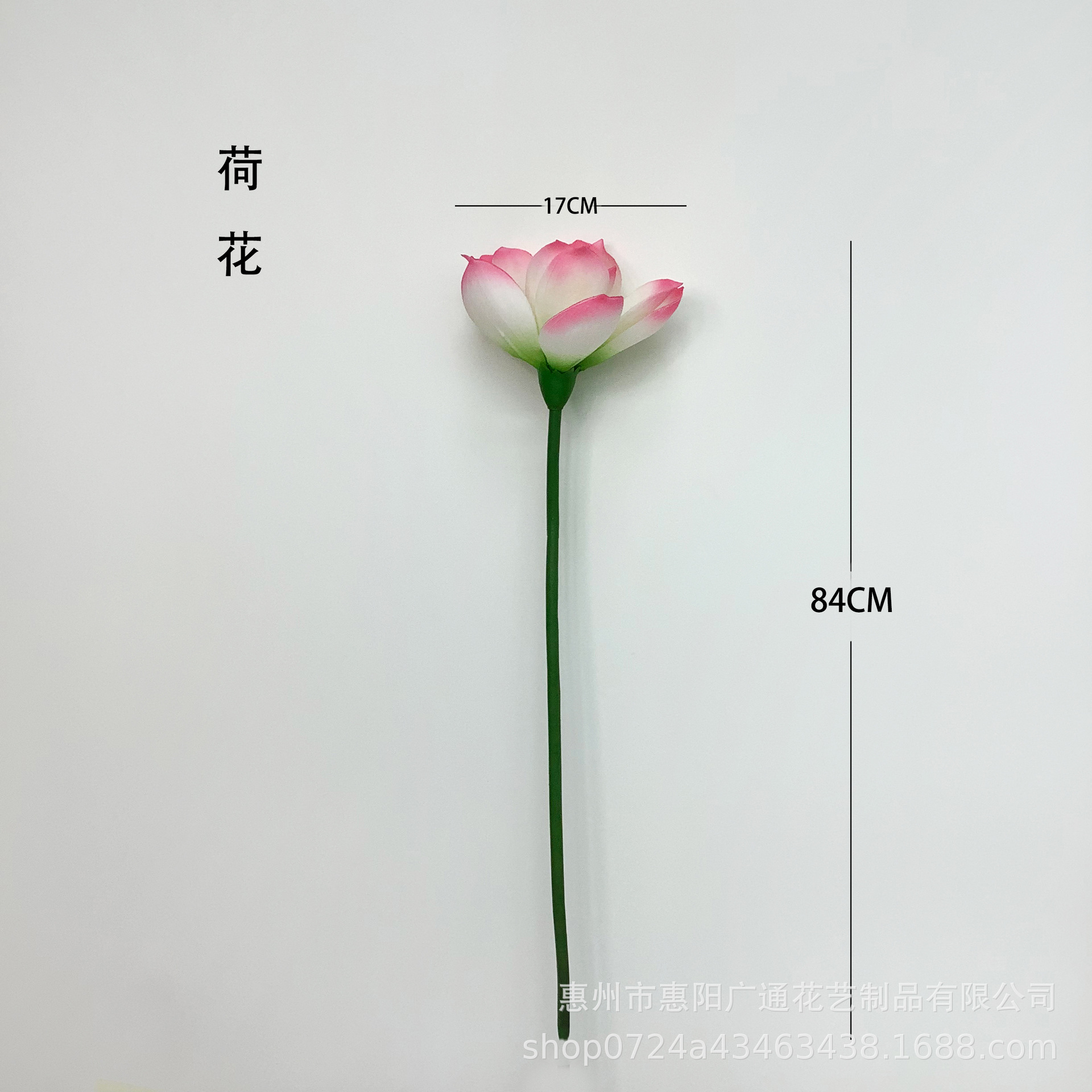 연꽃