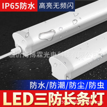 led防水防爆灯管IP65一体化长条户外三防灯冷库浴室洗车店照明灯