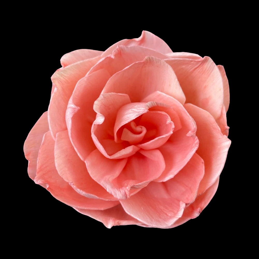 В наличии оптом | 8 см окрашенный китайский цветок розы травяной цветок ручной работы цветок украшение дома цветочный декоративный цветок