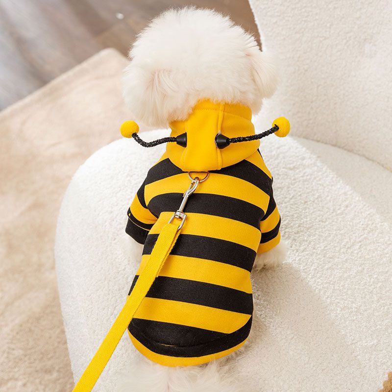 秋冬季可爱小蜜蜂可牵引狗狗卫衣猫咪两脚变身装宠物泰迪保暖衣服