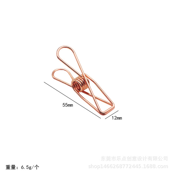 중간 장미 금
