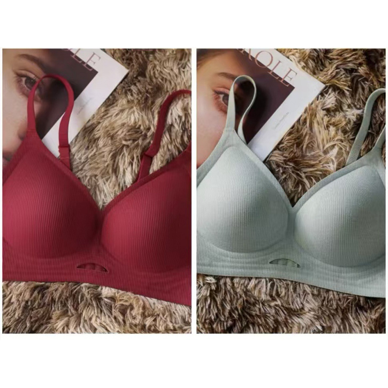 앙콜라 레드 + 터콰이즈 그린