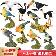 �羳���挍���w�݄���ģ���r�B�����̷��B�����B���f��ͯ�J֪���