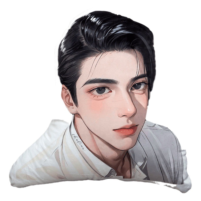 抱き枕のカスタマイズ、写真からカスタム、企業ロゴ入り、ワンピースカスタムペット抱き枕、特殊形状クッション、写真入りクッション