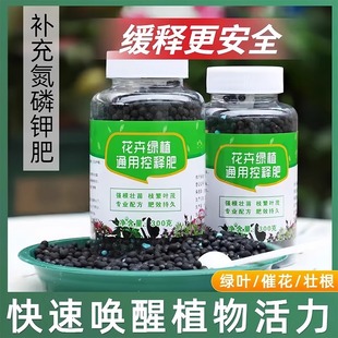 Green Plant Flower Slow-Release Fertilizer Money Tree Pothos Universal Controlled-Release Fertilizer Plant Granular Flower Fertilizer Nitrogen Phosphorus Potassium Compound Fertilizer