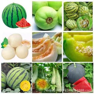 �����������ϷN����������8424���ϷN�ѷN�ļ��������������ϷN��