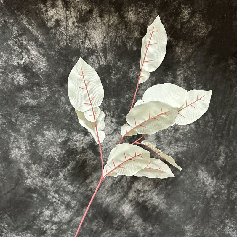 Grapefruit leaves-rice white