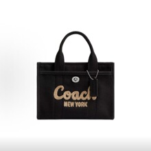 ���Y�¿�Cargo�r�аٴ��ţ�д�����ُ������μ�б�淽���ذ�