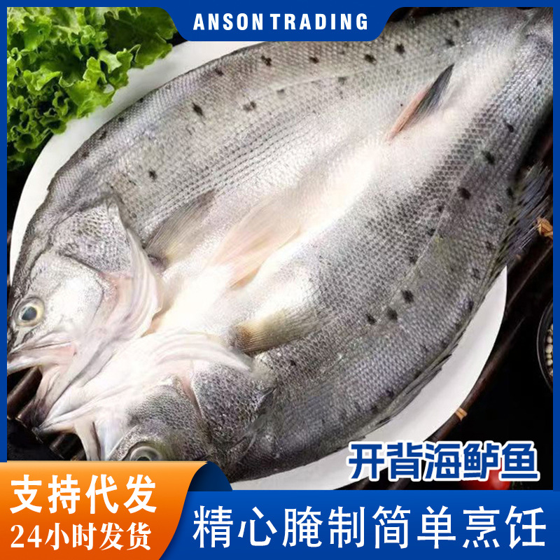 海鲈鱼整条新鲜三去开背珠海白蕉鲈鱼鲜活冷冻海捕鱼类海鲜烧烤鱼