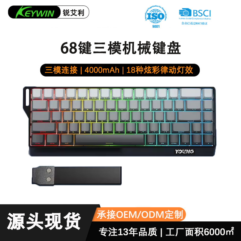 Rui Aili K68 Three-Mode Wired Mechanical Axis Rgb Mechanical Keyboard for Gaming and E-Sports, 68-Key Mechanical Keyboard