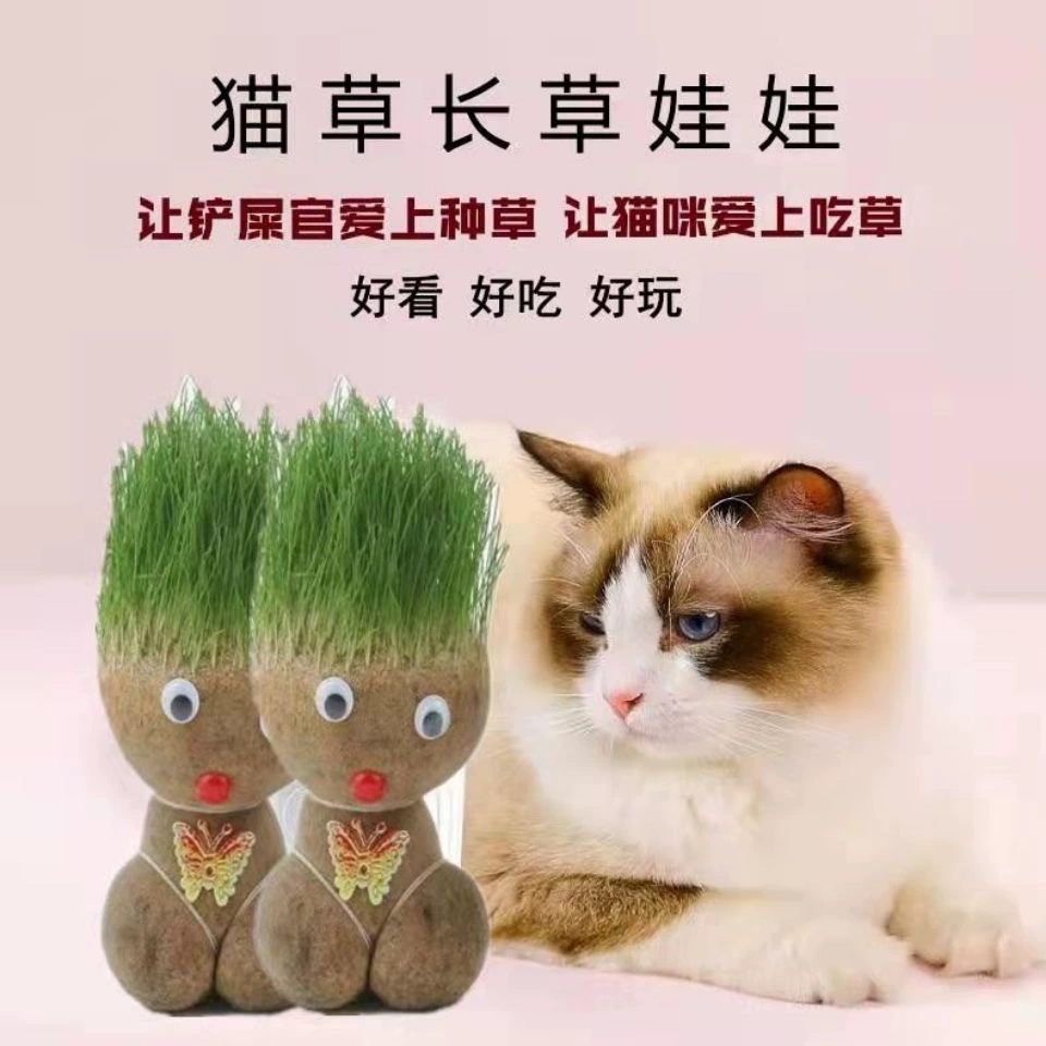 В наличии оптом беспочвенная кошка перечная мята в горшках ленивые Гидропонные котята травоядные трава кошка закуска