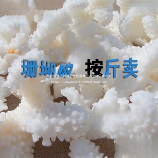 ��Ȼɺ��ʯ����ؐ��diy��ɺ����֦�~�׵ײ��b�䁵׵�̨�bĬ�J