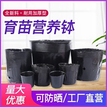 �I�B��������I�B���I�B������NֲѨ�����籭һ���ԼӺ�����Ѩ�P