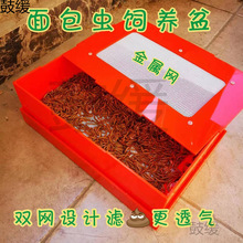 �Ӻ񁆿�������x��B�д����x�����x��B���Q�����p�V�W�Vʺ��