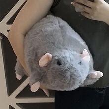 С�t��ͬ�֦����ë�q�����ż���������п羳�����������