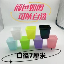 多肉花盆塑料小植物小号迷你七方盆优质塑料盆简约时尚批发清仓