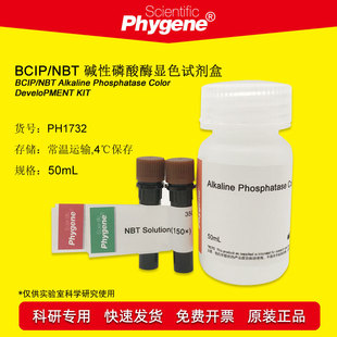 BCIP/NBT碱性磷酸酶显色试剂盒 100mL 科研实验 [PH1732 PHYGENE]-阿里巴巴