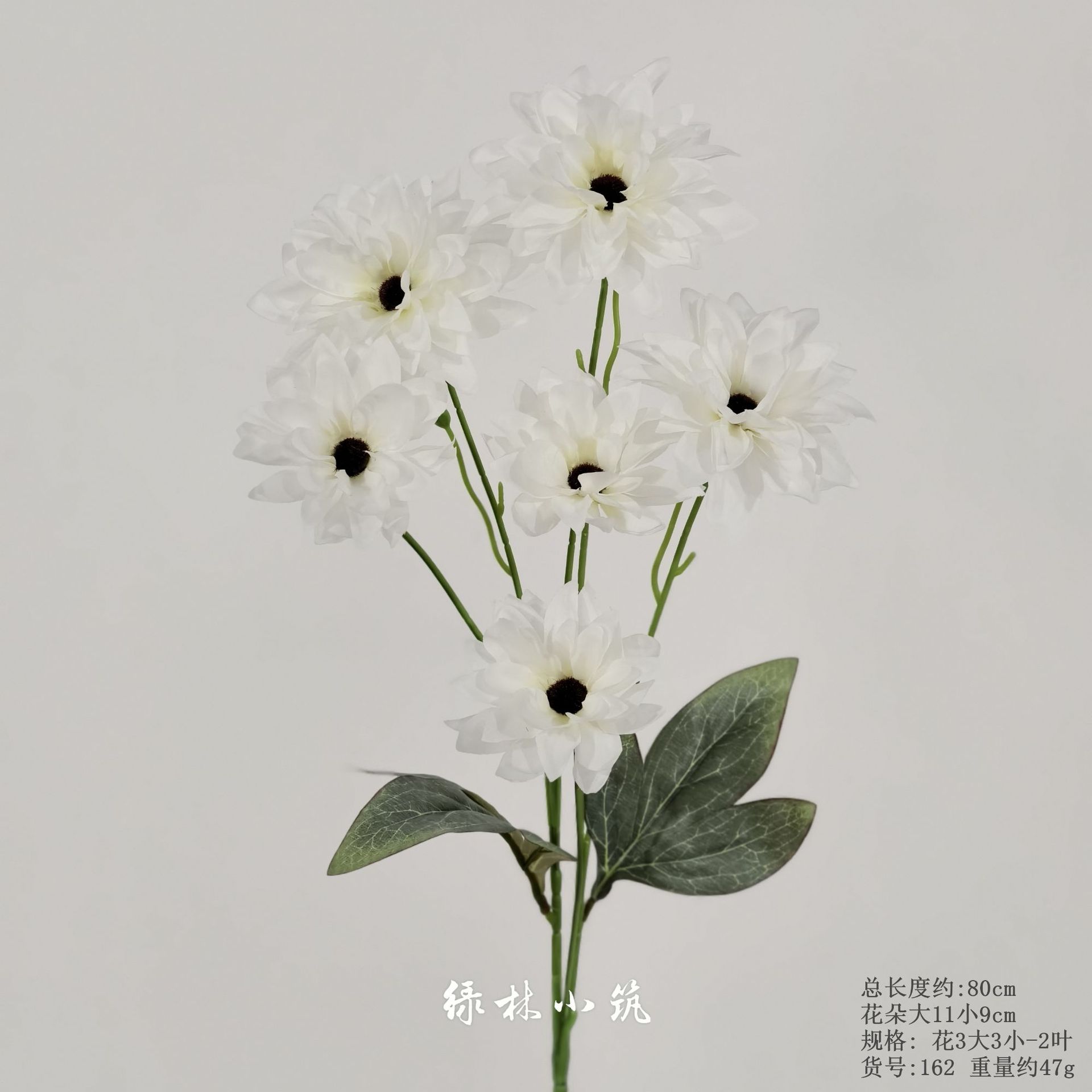 품목번호 162-6개의 머리를 가진 해바라기