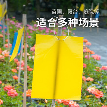 ճ�x���S���p������ճ���N���@�nω�Tճ��С�w�x��ω�N�T����