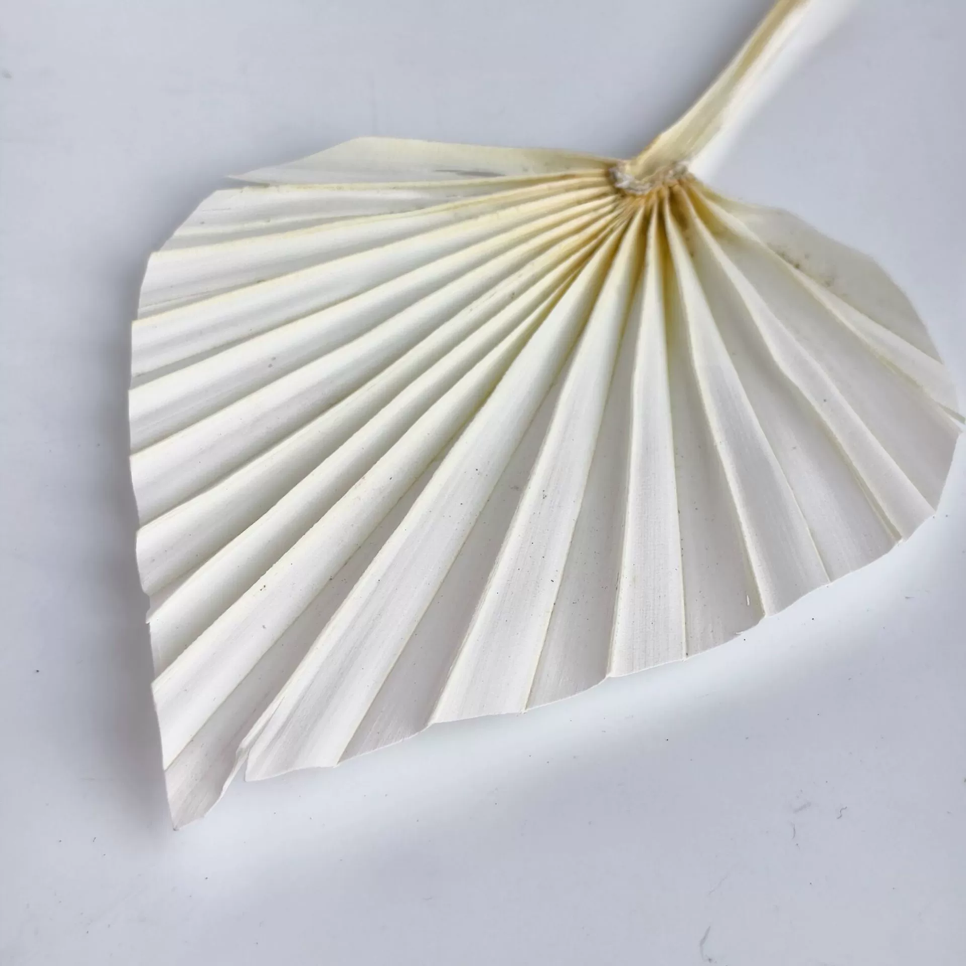 Настроить | Миниатюрный веер в форме сердца, маленький веер-листик в стиле ваби-саби, домашний свадебный декор, натуральные сухоцветы