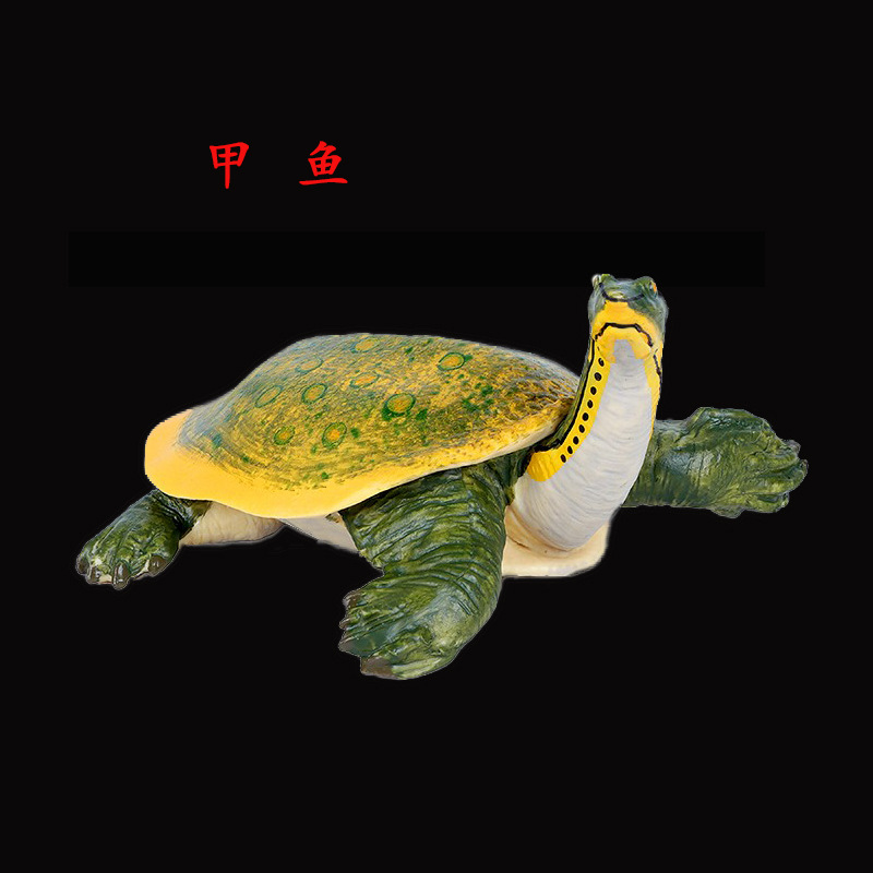 龟甲鱼788  二款