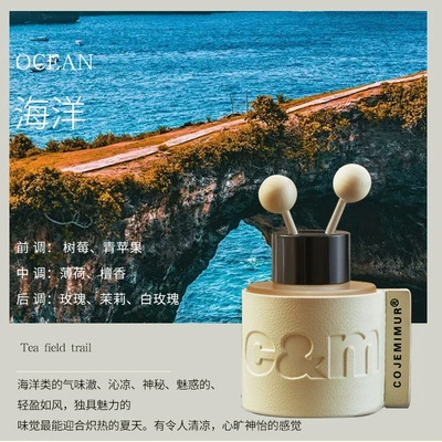 Perfplant seat Car Perfume, Fragrance Ornament - classic-ocean-aquatic-fougere
