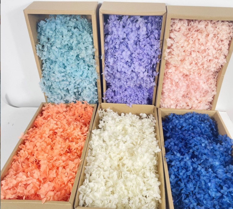 微信截图_20231203172807