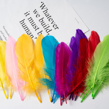 �Zë���hӲ�h��ë��ɫ���c��Diy�Ʒ����׃��@�ֹ����ϳ���b�
