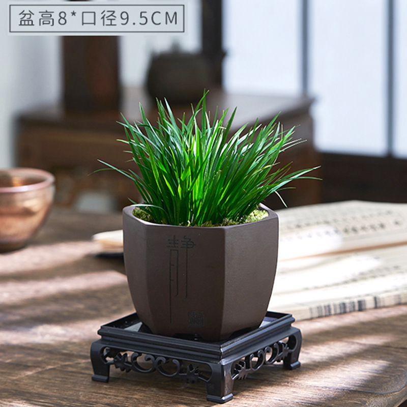 Dinero Acorus acorus bonsai pequeña maceta de oficina decoración de mesa de té modelado Zen迷 interior micro paisaje flor verde