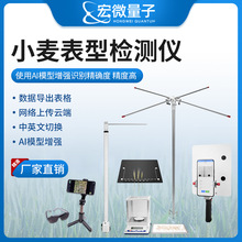 小麦亩穗数测量仪夹角茎粗麦穗形态检测仪作物表型分析系统