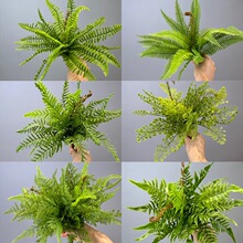 ����ާ�~��˹�ݷ���ާ�ֲ��ާ���ָ�ܛ�zֲ��쾰����~βާ�~