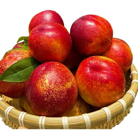 块茎类;瓜果类;苹果