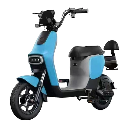 Electric Motorcycle Simple Pedal Two-Wheeler: Elektrikli motosikletlər