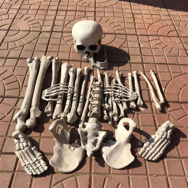 Huesos Decorativos de Utilería Set de 28 Piezas de Plástico para Halloween image 5