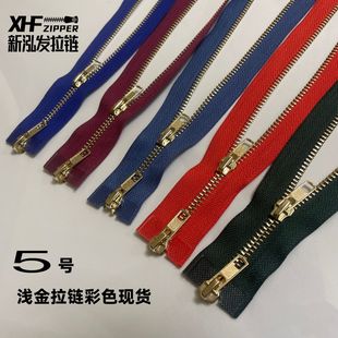 5̖�\����� �p���^������� �������p�_����L����q���������